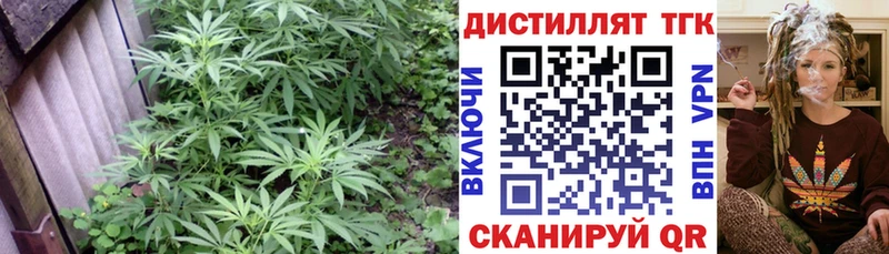 как найти закладки  Чердынь  ТГК THC oil 
