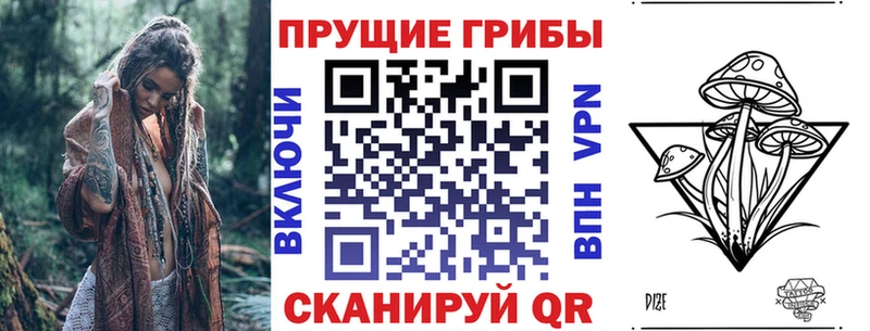 Галлюциногенные грибы MAGIC MUSHROOMS  Чердынь 